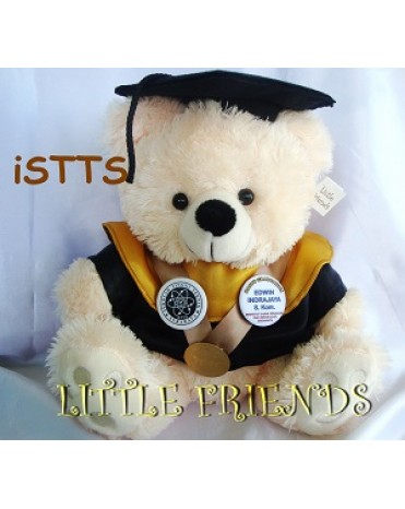 Boneka Wisuda iSTTS Surabaya - Teknik Informatika (30 cm)